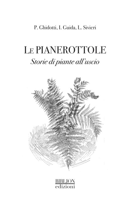 pianerottole
